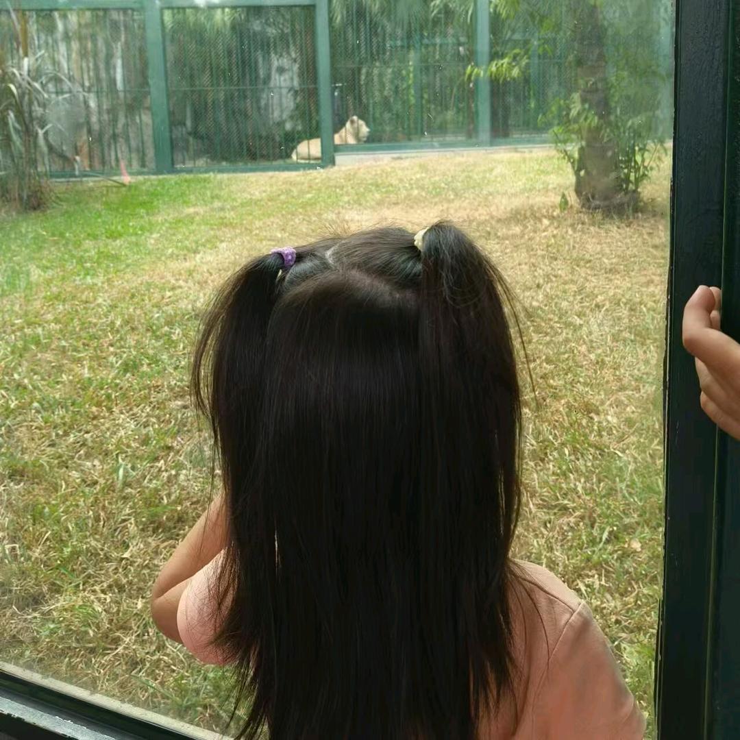 小小盆