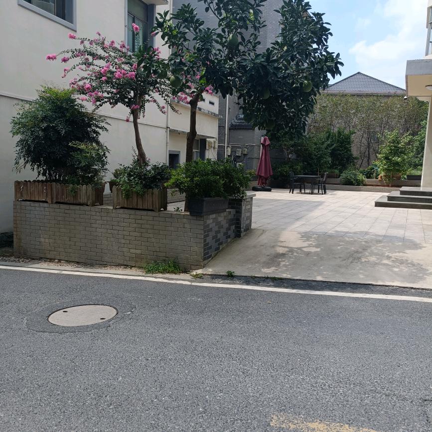 单身一个人