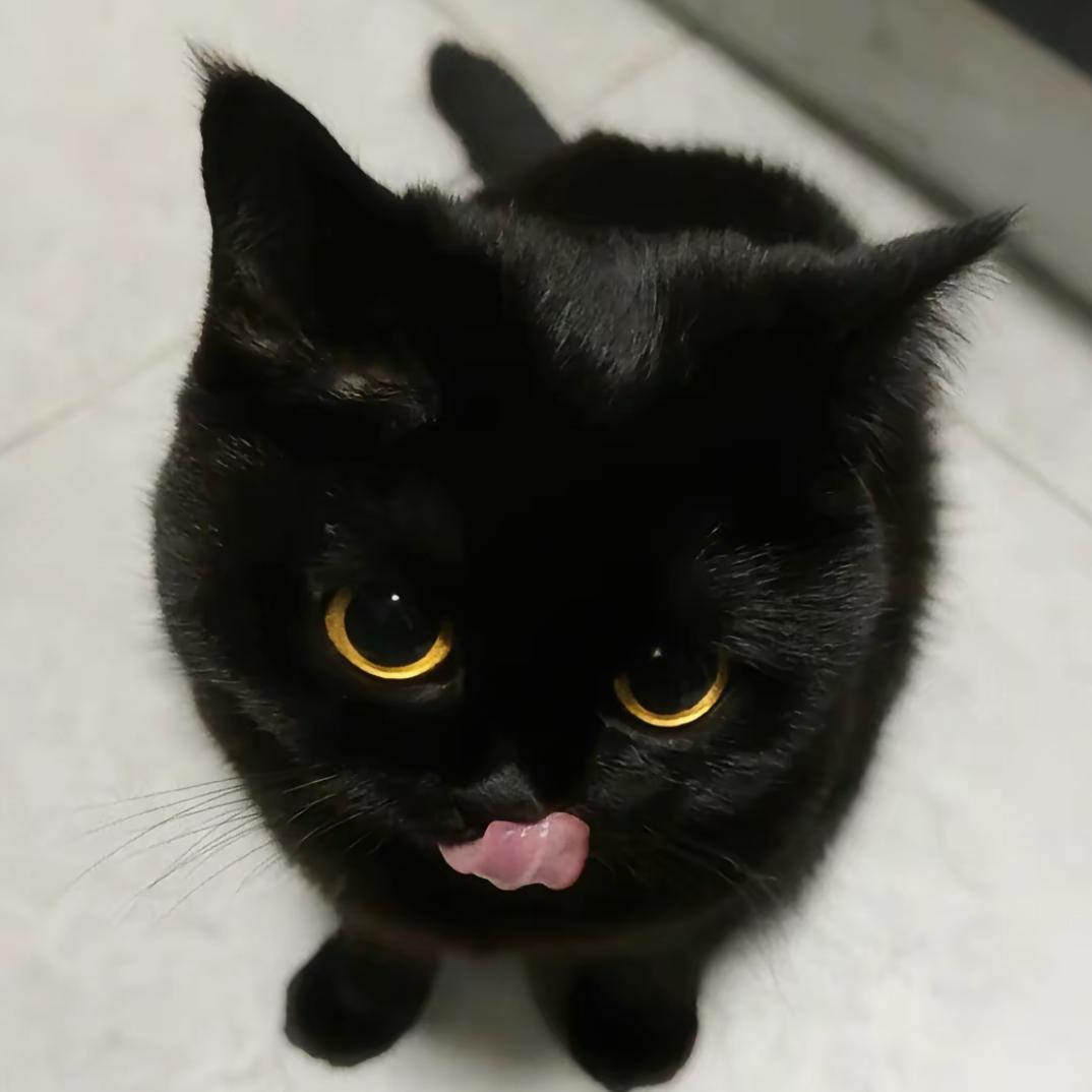 均瀚