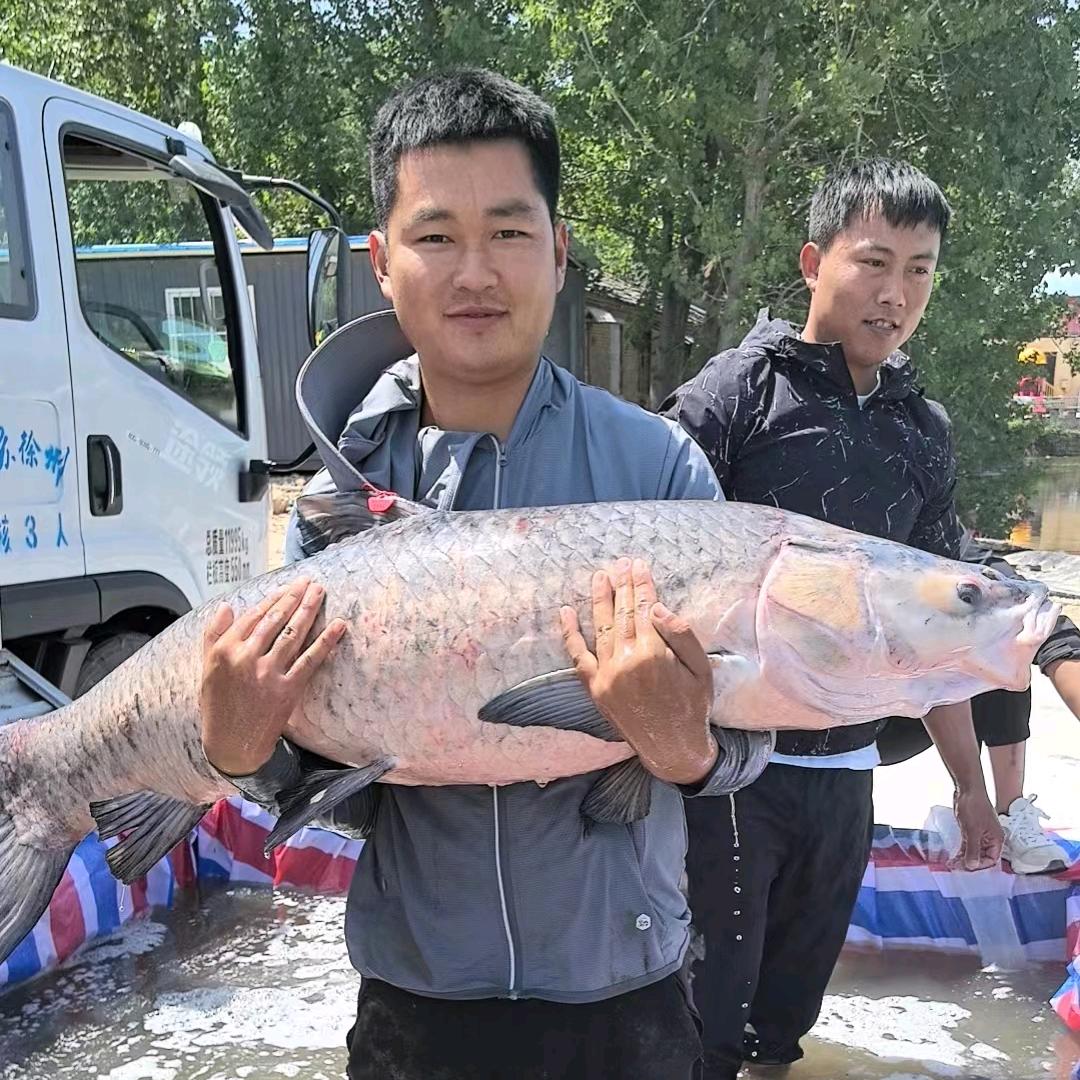 黄集阿龙大物垂钓中心