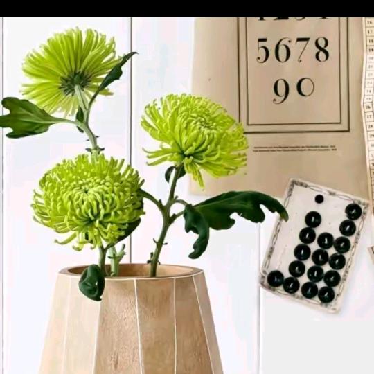 拼命三郎☕️☕️☕️🌹🌹🌹