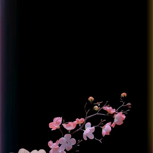 💞ꦿ泪眸᭄ཽ࿆🍒