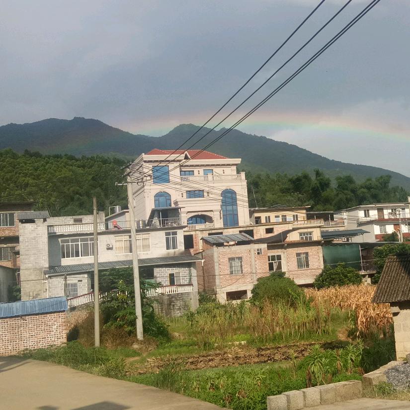 困困芳