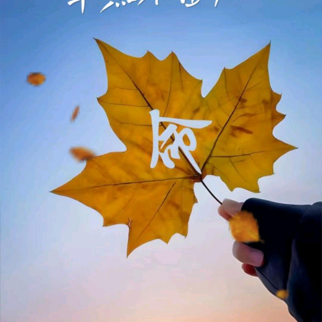 gao八一…8.18……