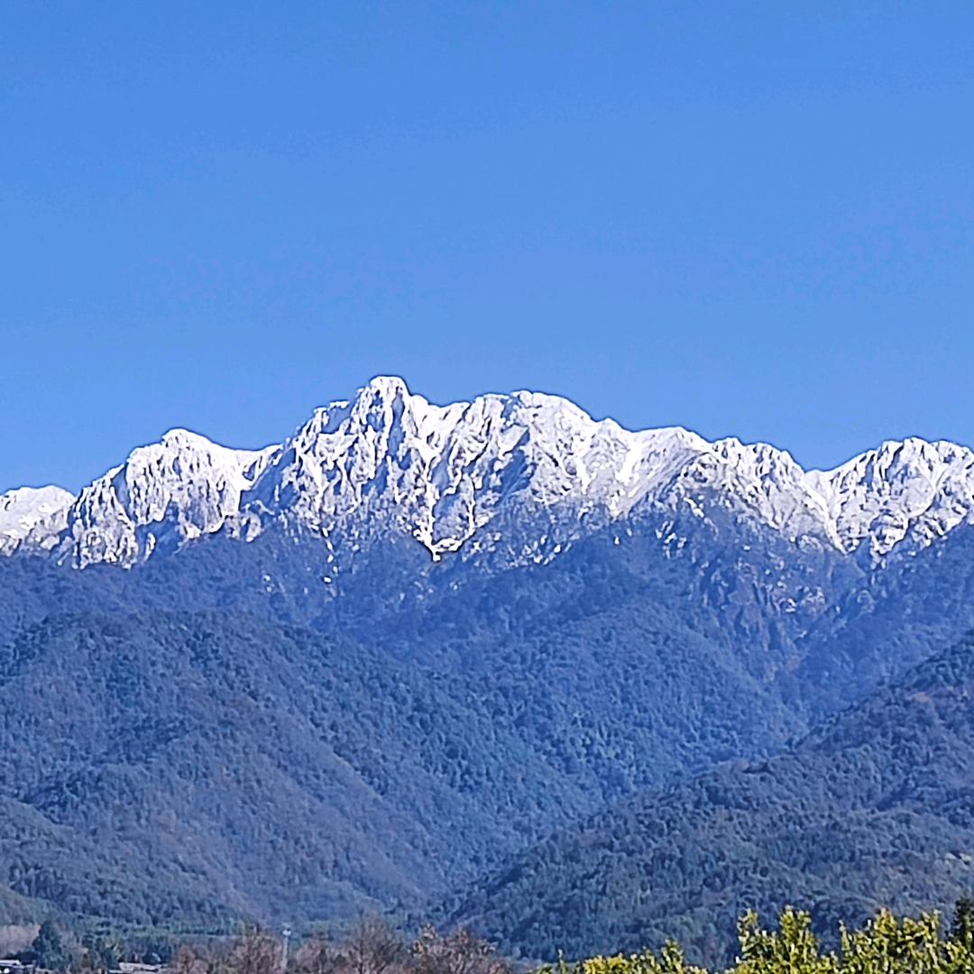 农资万哥（金正大）