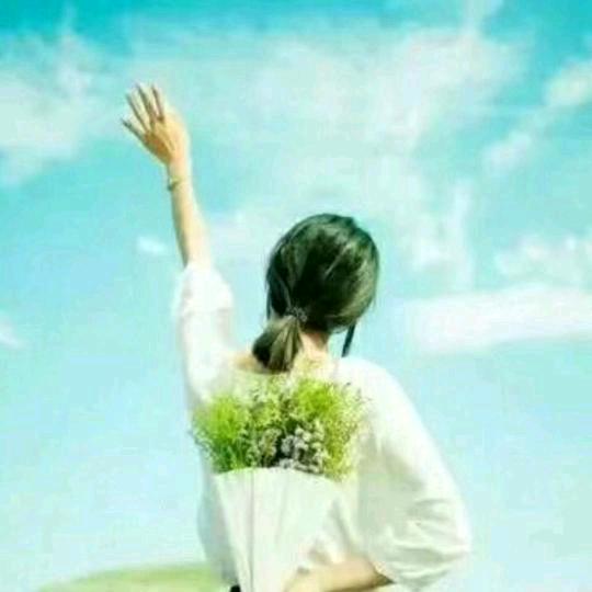 清风暖阳