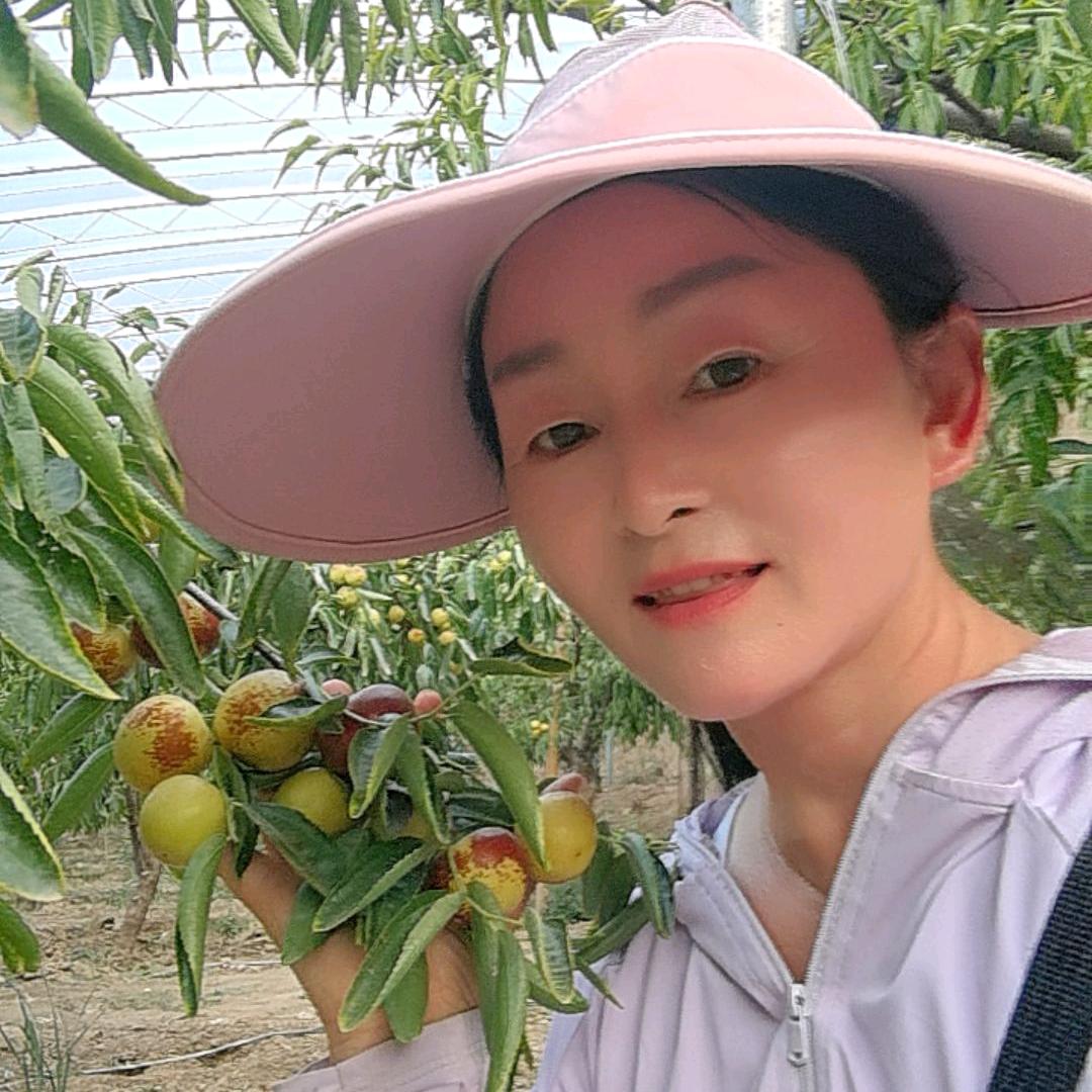 娟子枣业