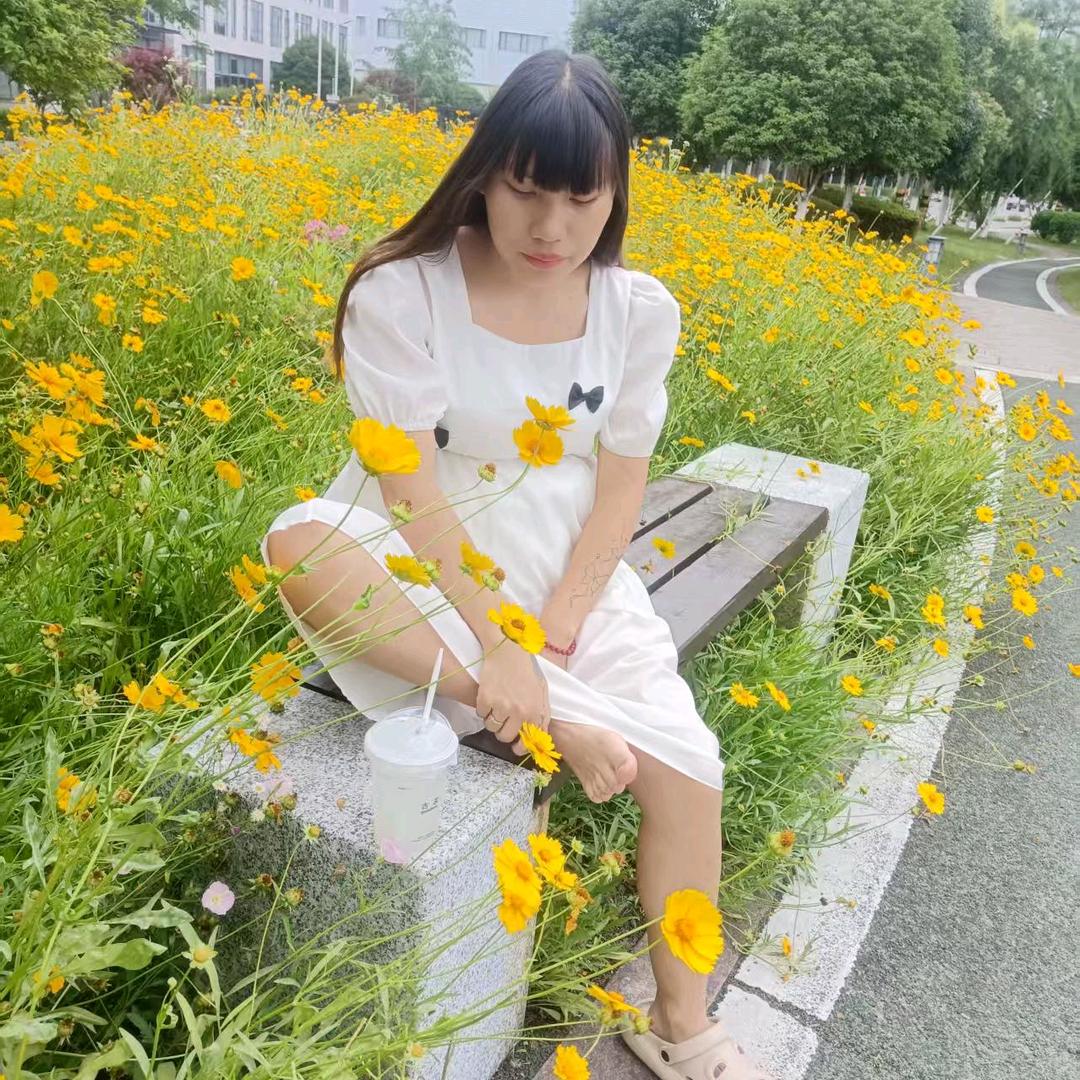 琴飞得己