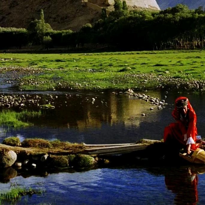 塔什库尔干县高原玛卡虫子鸡海哥