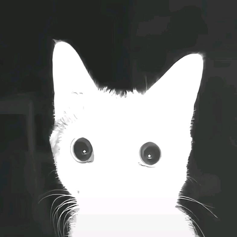 Panyh
