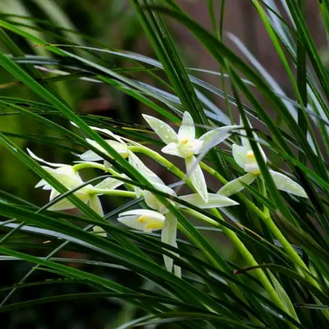 #名人超市贺胜店🌿