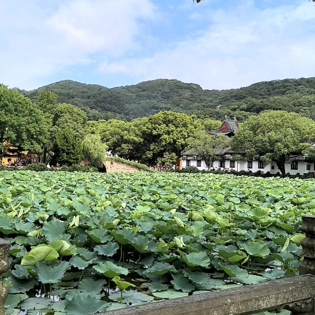 幸福的样子999