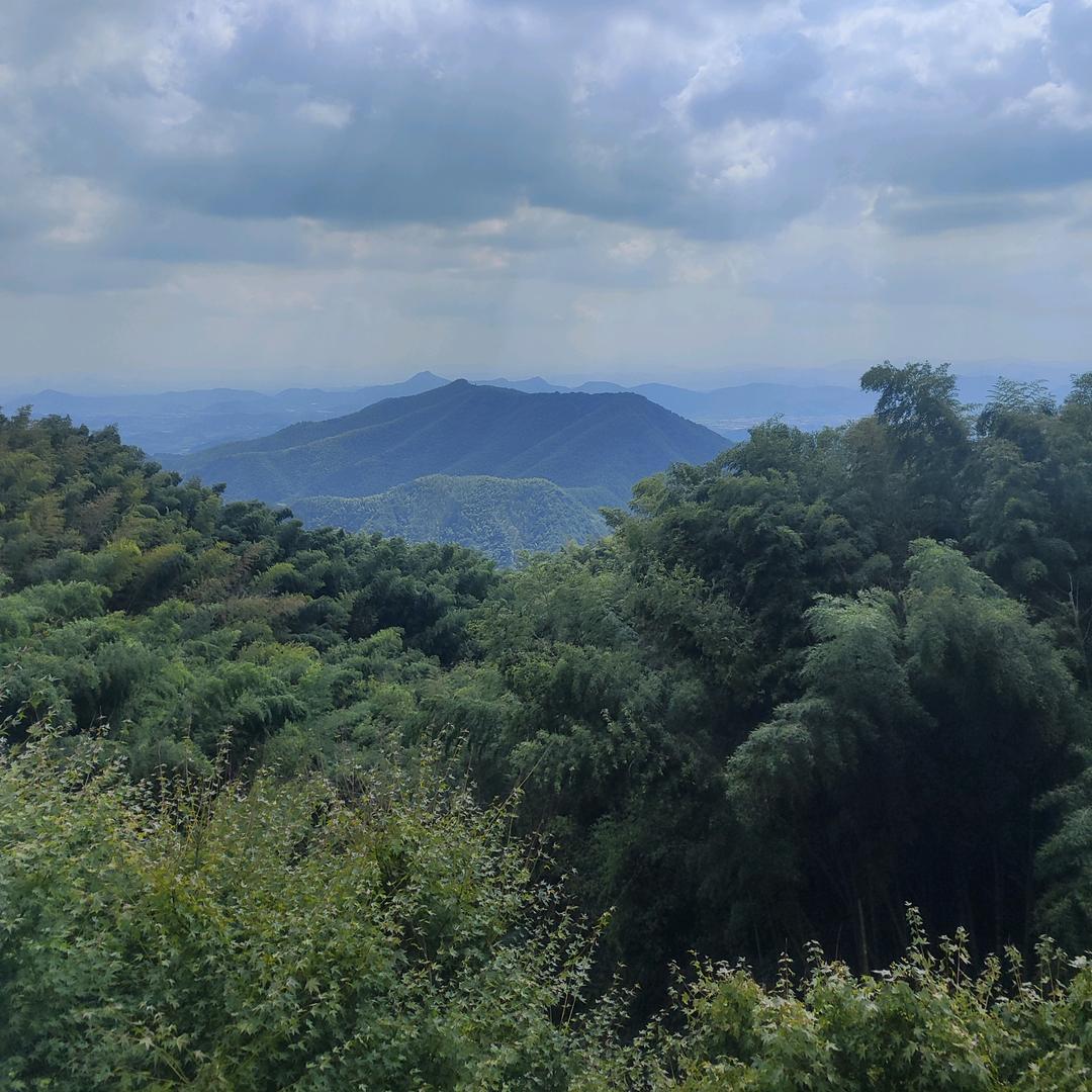 ꪋꪆ꫁喜上眉邵꧔ꦿᤨ᤺࿐