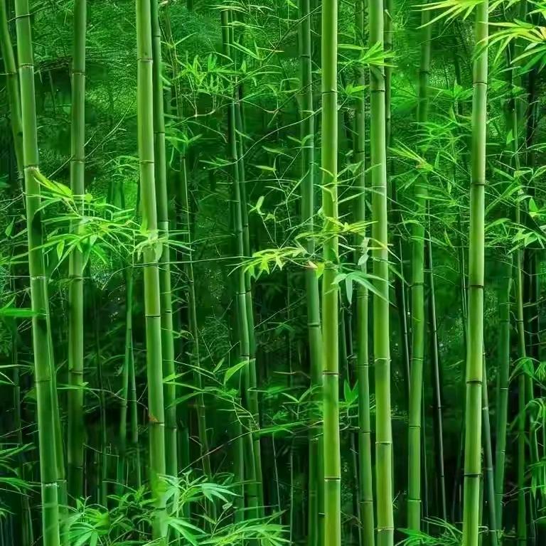 小小幸福