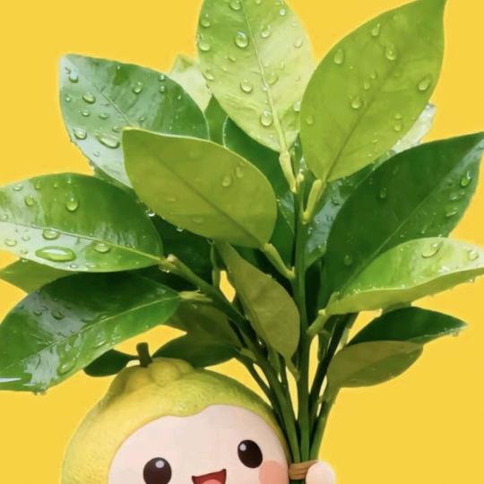 এ᭄心之所愿༊