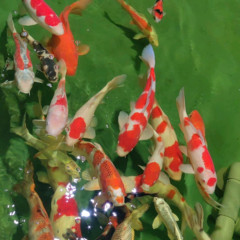 ໑ຼₒ₂5ღ᭄赵哥🦋꧔ꦿ᭄💞