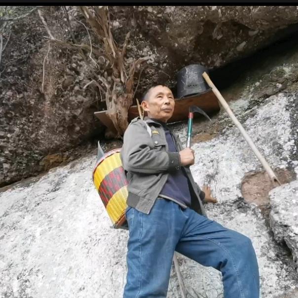 老蒋蜂业