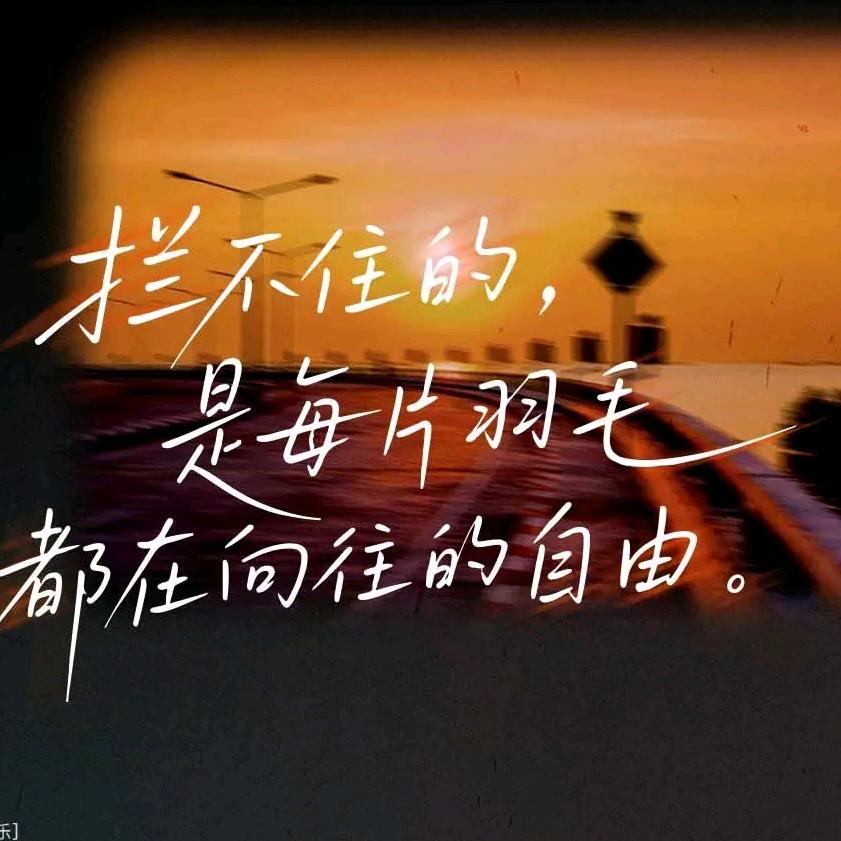 眼中的自己