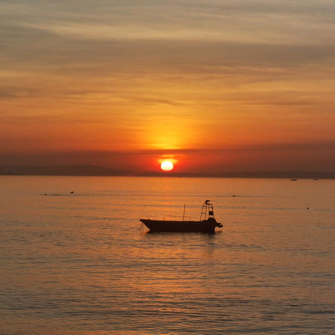 初一十五是橘猫