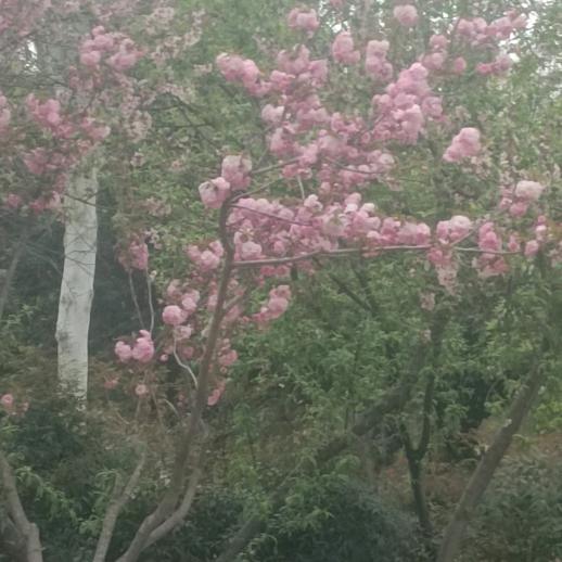 用户6182929167611