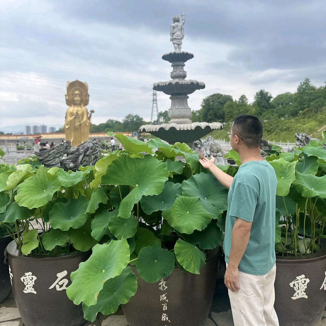 桃花源136
