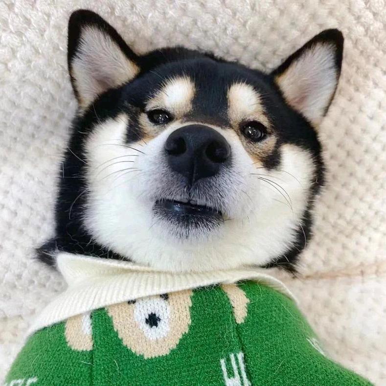 萌面大侠