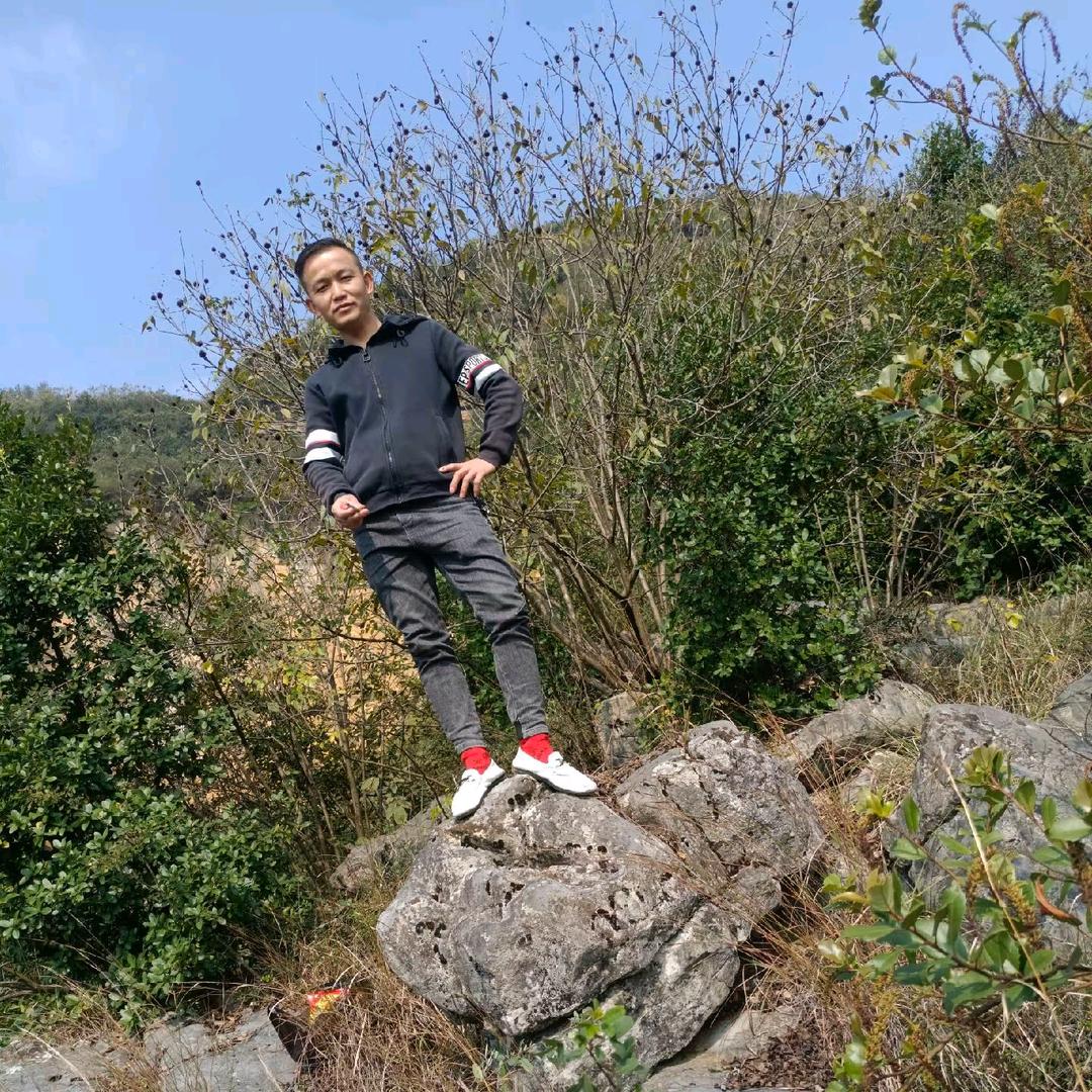 马（卷土重来）