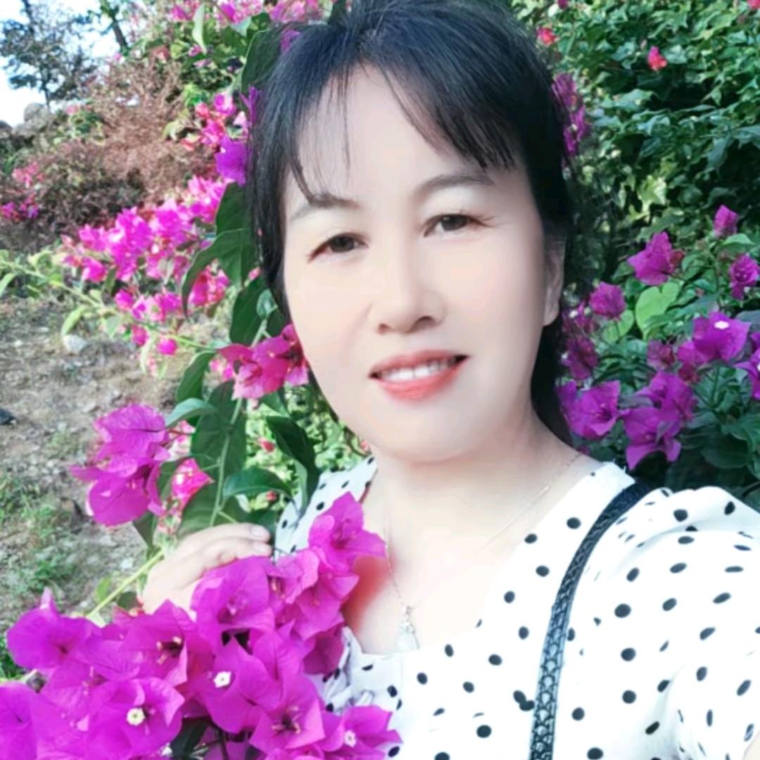 森树林