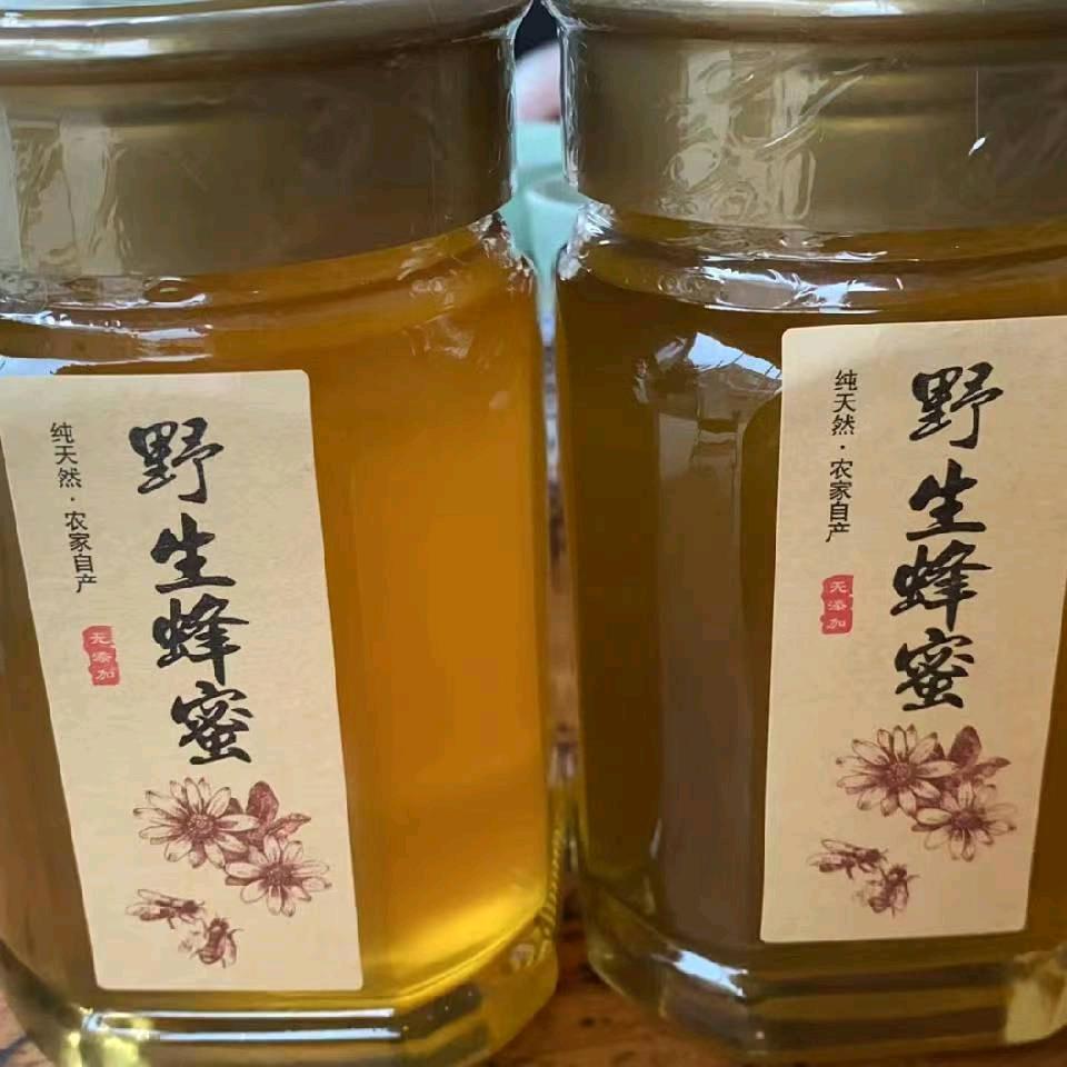 蜂生水起