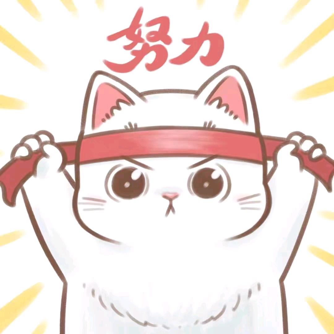 升学规划周老师