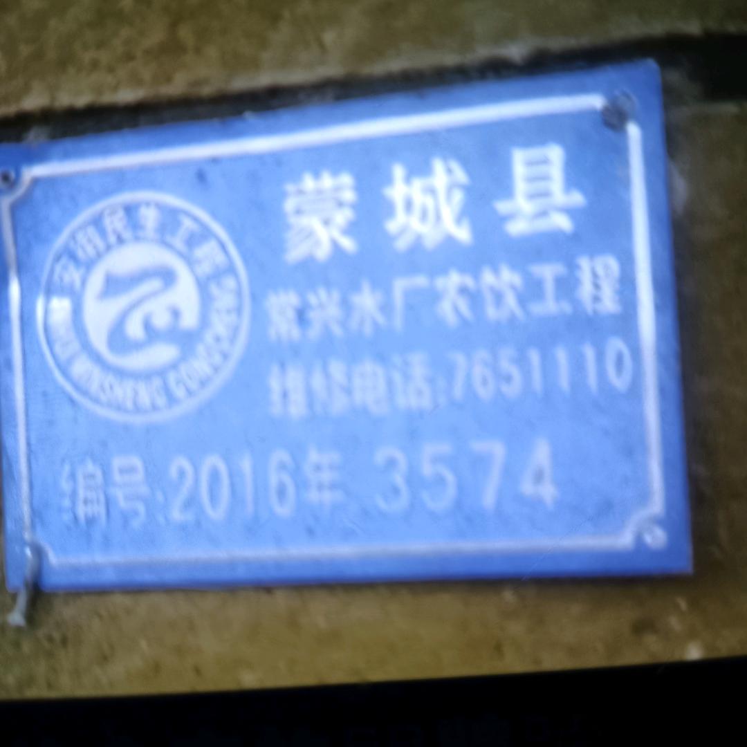 小小草