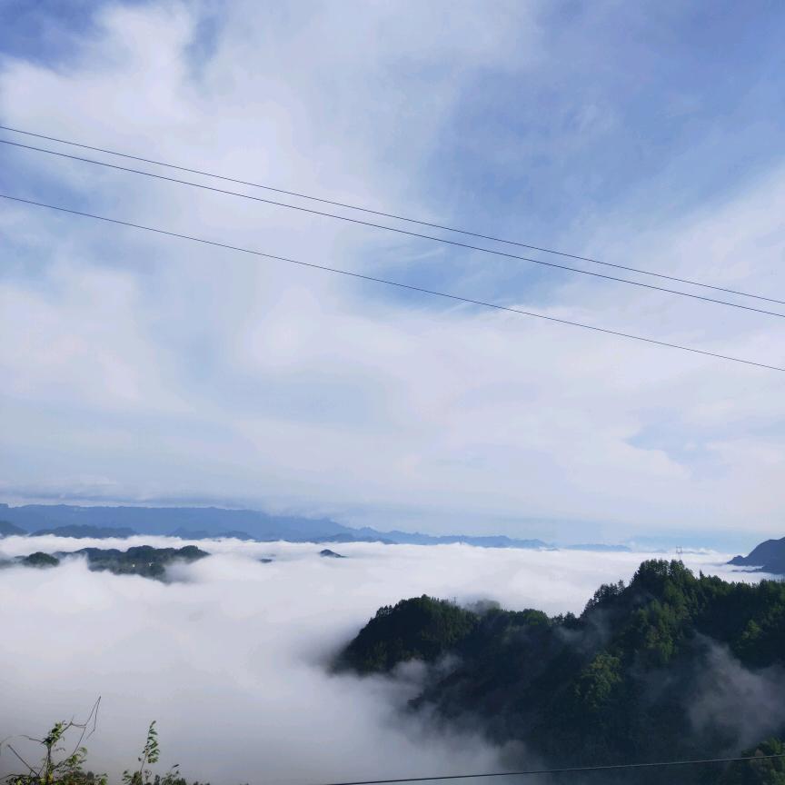 八百