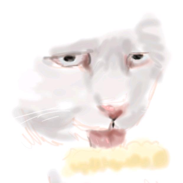 迪奥的面包