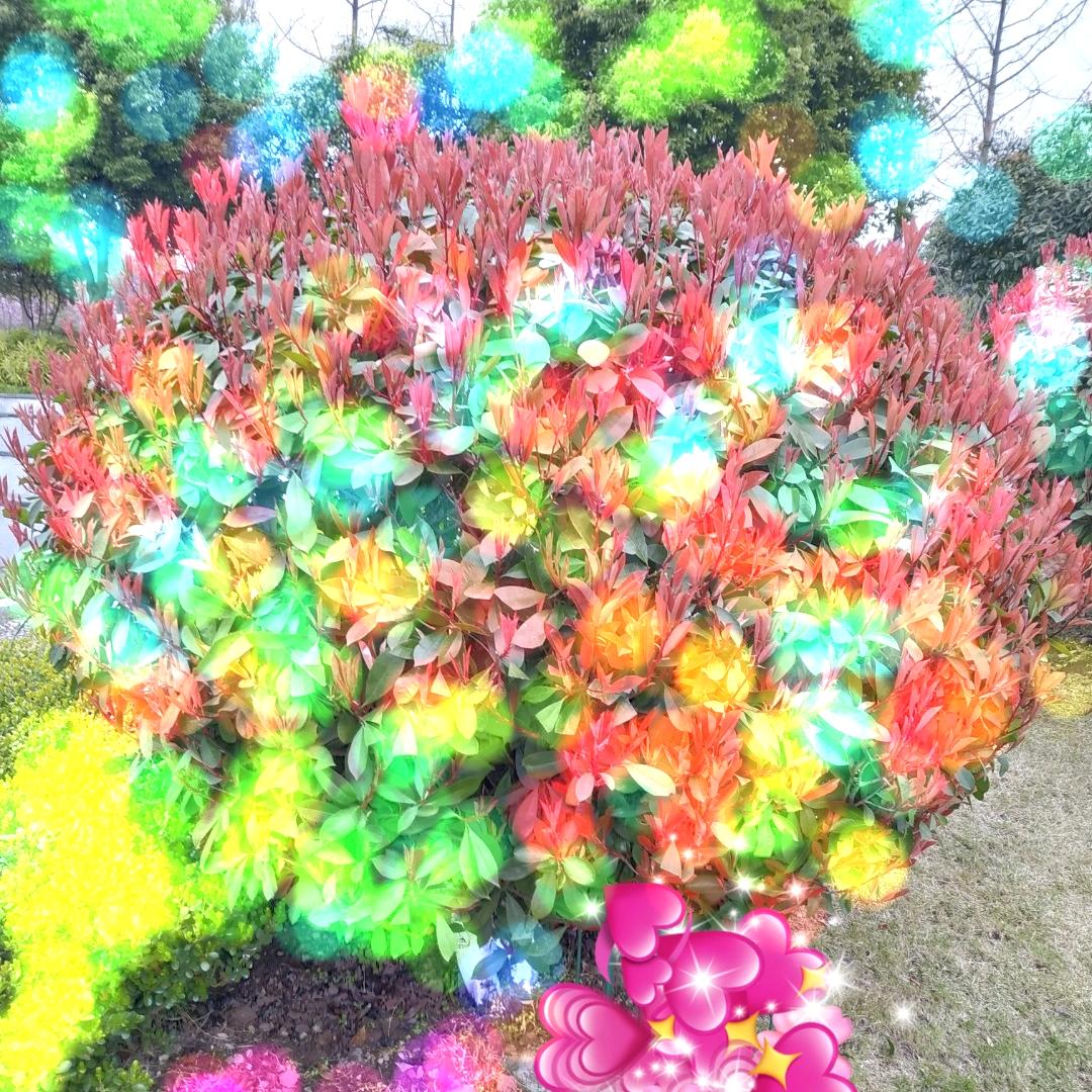 文
