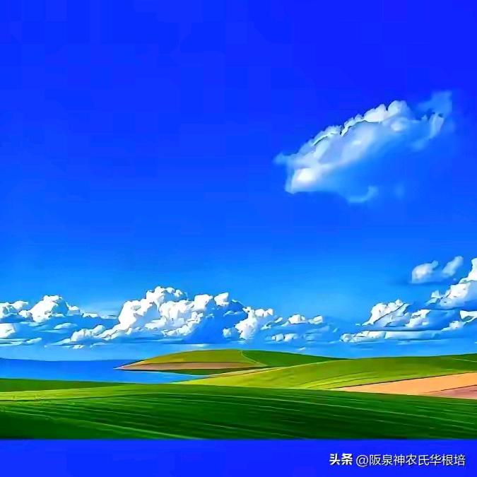 独自撑伞，
