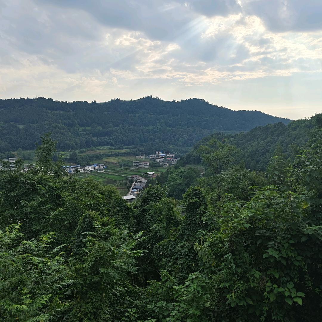 人生无处无风景