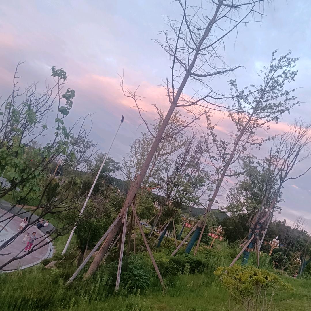 《🍓微笑🎉》