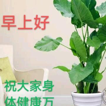 开心快乐每一天