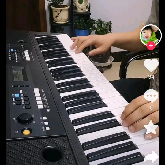 汝州电子琴电吹管教学