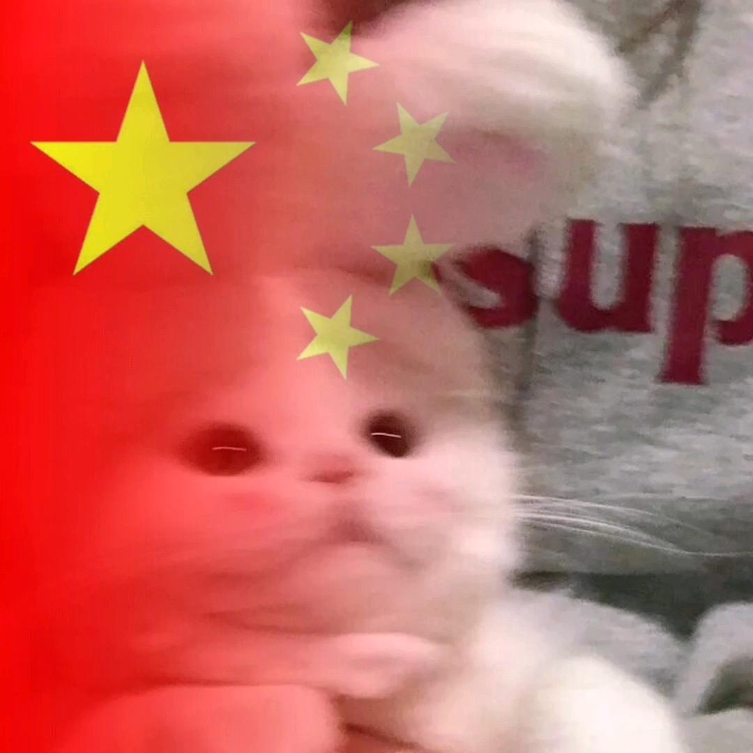 元