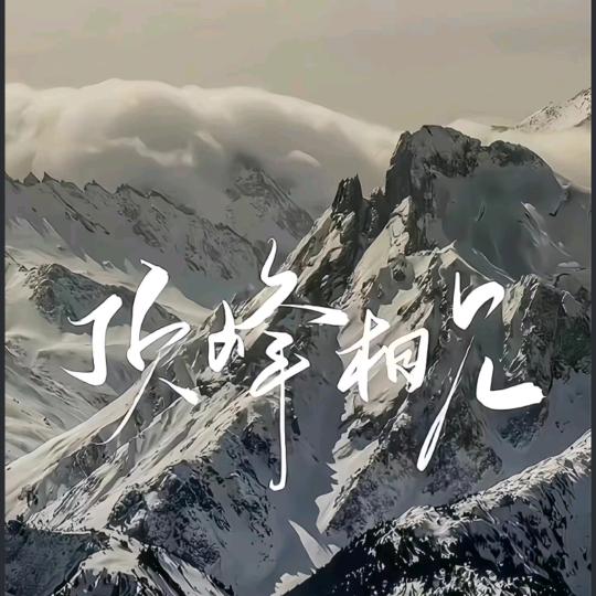 薛半斤