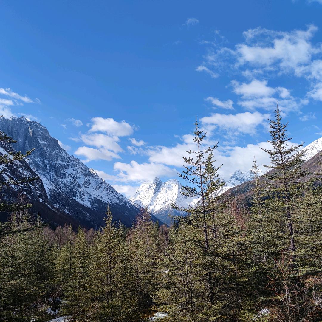 𓏸 𓂂 𓈒 𓆡𓆝 𓆟𓆞