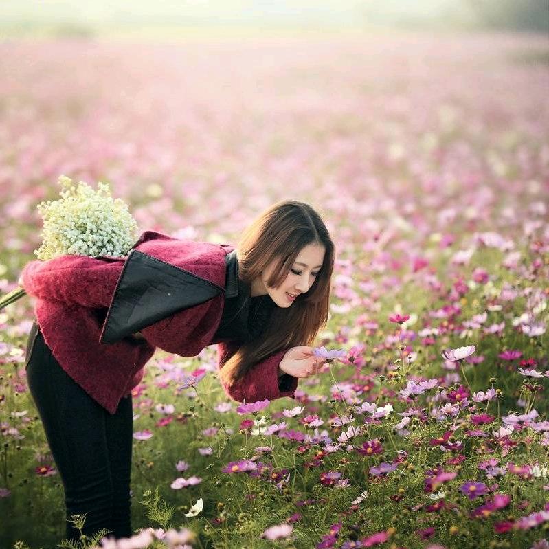 丽彩装饰有限公司