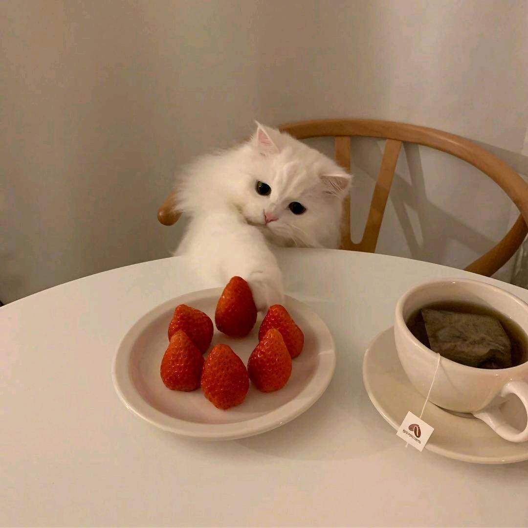 憧憬。