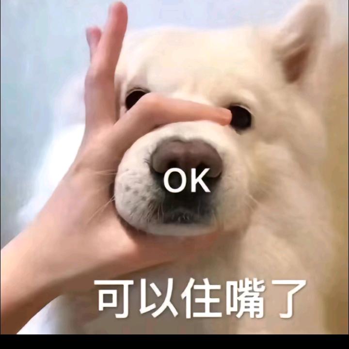 财神爷爱上我