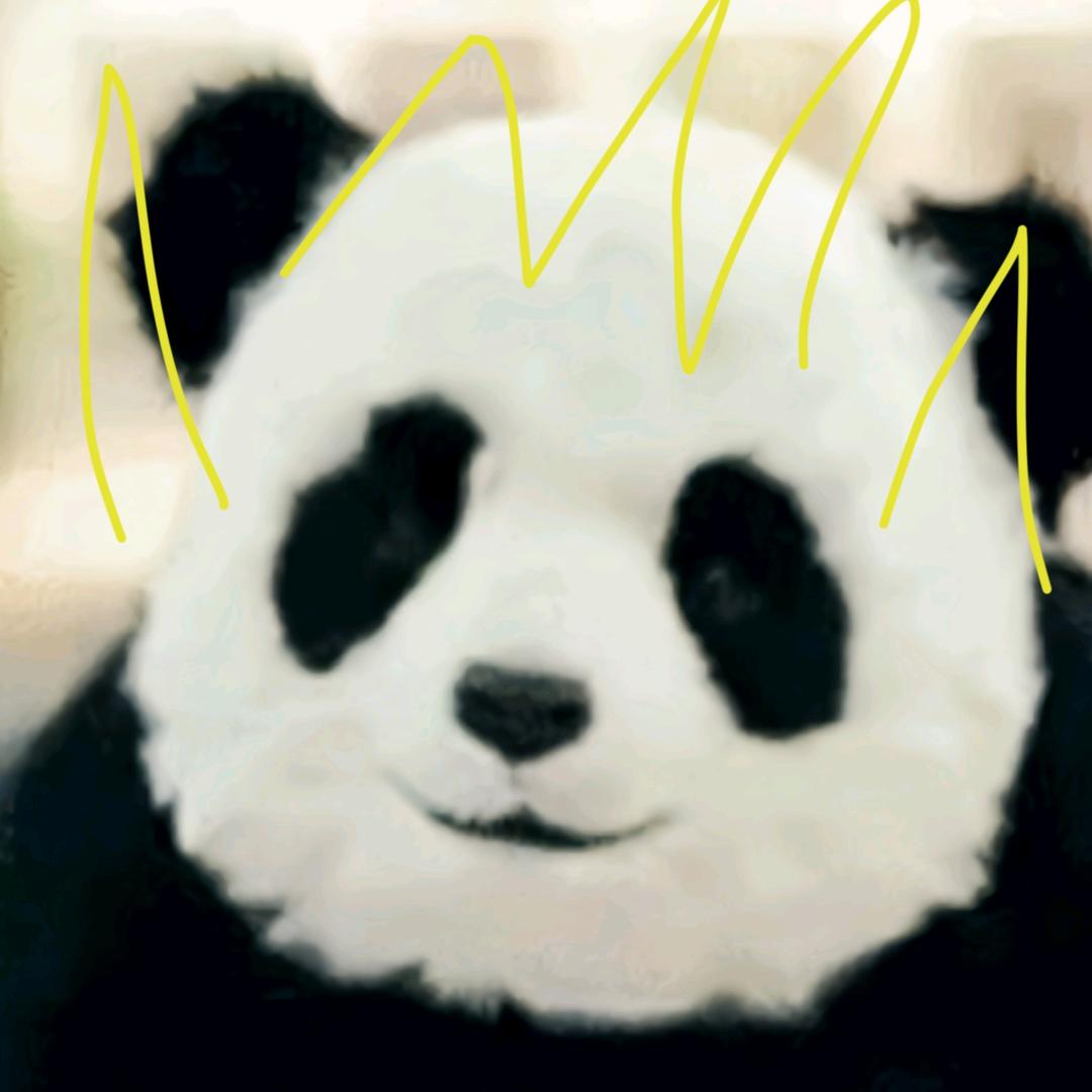 黄金小熊猫