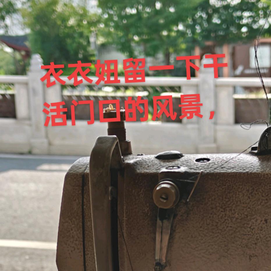 衣衣姐