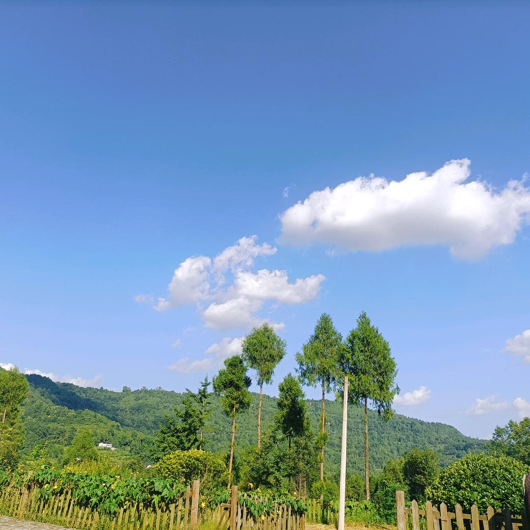 明天会更好