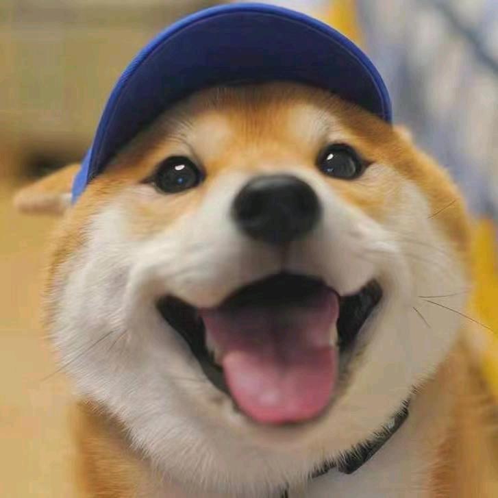 某忽悠