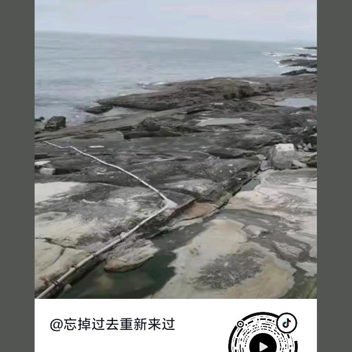过去就让他过去🌴🌴